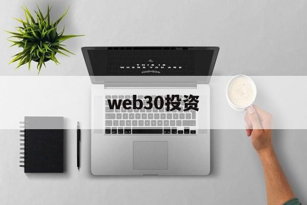 web30投资(web30时代的最大特征是)